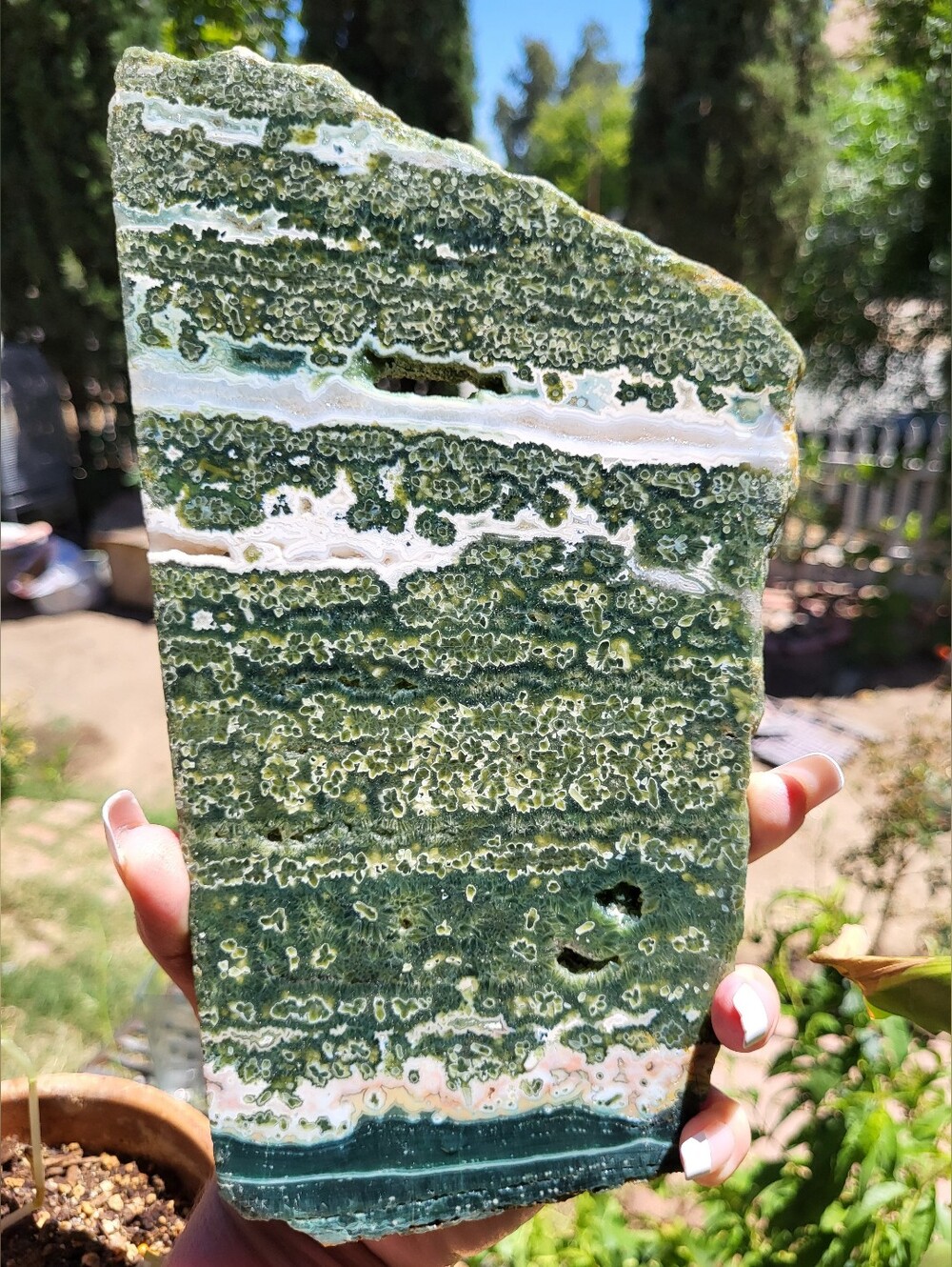 XL High Quality 7th Vein Pink And Green Ocean Jasper Display Slab -